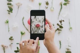 taking photo of flower display for social media