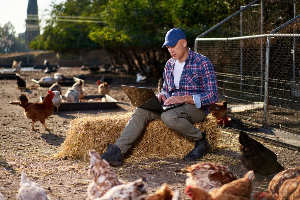 Farmer working on laptop in chicken yard