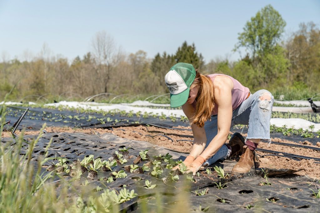 Woman planting starts in garden