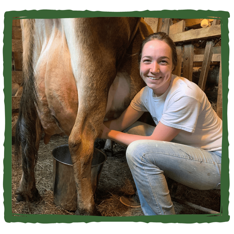 Mallaidh milking Jersey cow