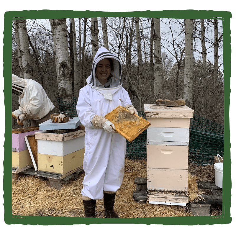 Mallaidh checking bees in hive