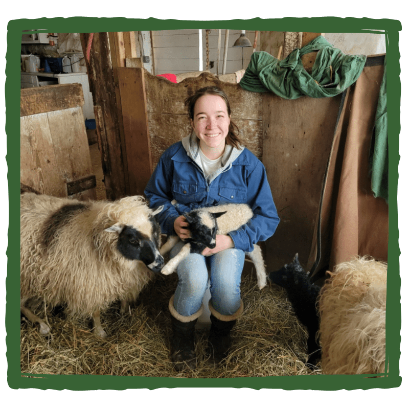 Mallaidh holding Icelandic lamb