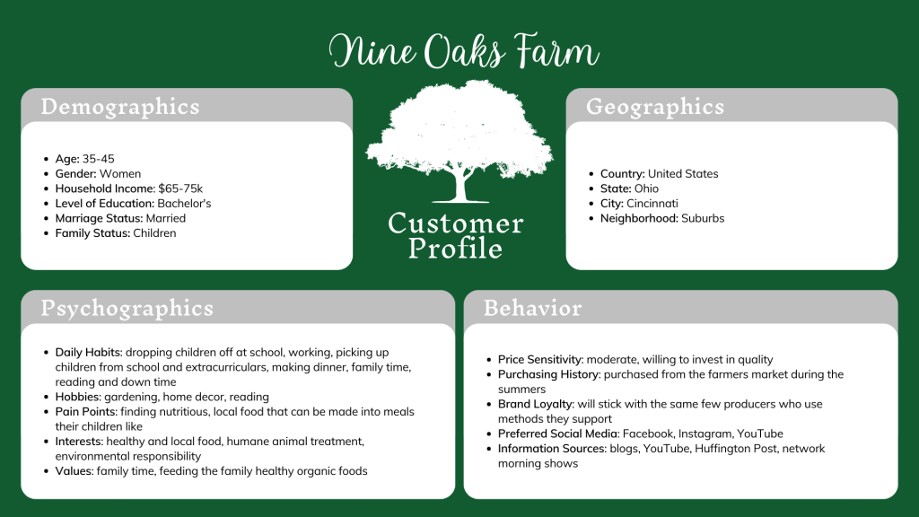 Example Ideal Customer Profile