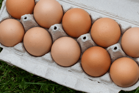 brown eggs in egg carton